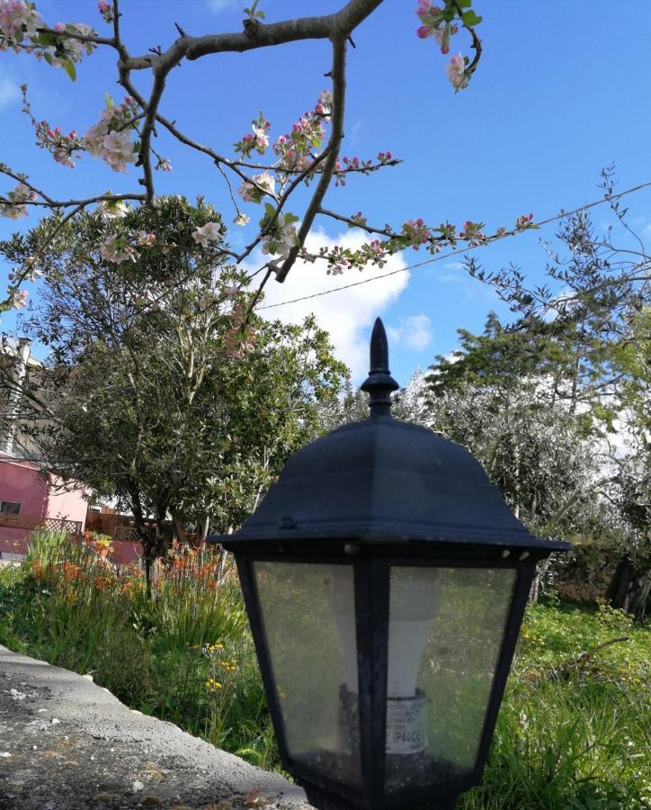 Albero Della Musica Bed & Breakfast Sassari Exterior photo