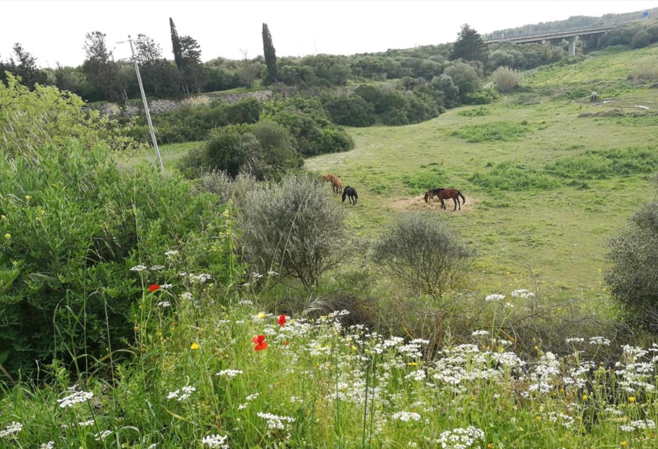 Albero Della Musica Bed & Breakfast Sassari Exterior photo