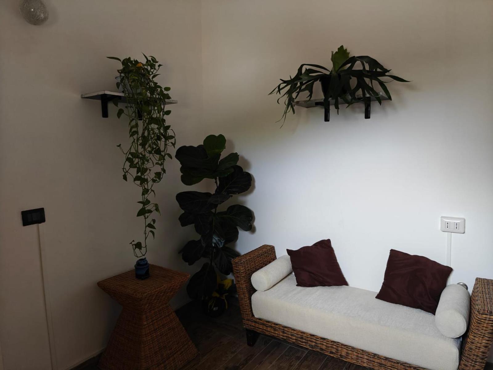Albero Della Musica Bed & Breakfast Sassari Exterior photo